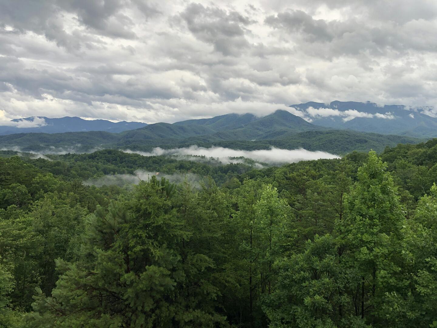 Waynesville Mountain Construction